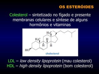 Colesterol  – sintetizado no fígado e presente membranas celulares e síntese de alguns hormônios e vitaminas OS ESTERÓIDES LDL  –  low density lipoprotein  (mau colesterol) HDL  –  high density lipoprotein  (bom colesterol) 