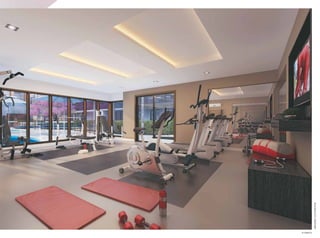 fitness
imageMilustrativa
 