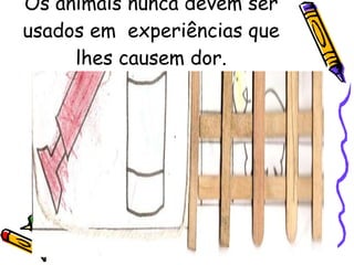 Os animais nunca devem ser usados em  experiências que lhes causem dor. 