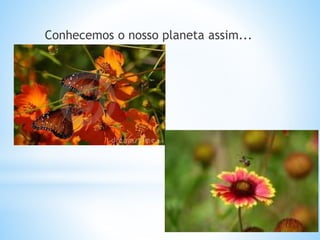 Conhecemos o nosso planeta assim...
