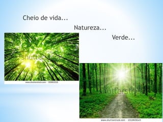Cheio de vida...
Natureza...
Verde...