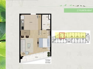 // PLANTA 40m2
 
