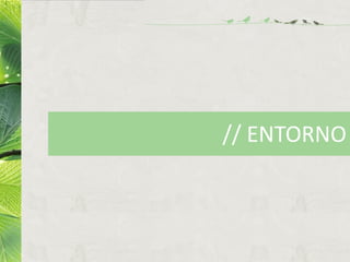 // ENTORNO
 