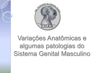 Variações Anatômicas e
  algumas patologias do
Sistema Genital Masculino
 