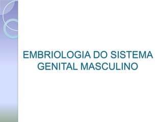 EMBRIOLOGIA DO SISTEMA
  GENITAL MASCULINO
 