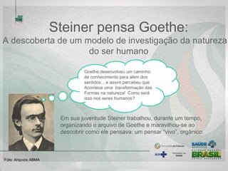 Steiner pensa Goethe:
A descoberta de um modelo de investigação da natureza
do ser humano
Em sua juventude Steiner trabalhou, durante um tempo,
organizando o arquivo de Goethe e maravilhou-se ao
descobrir como ele pensava: um pensar “vivo”, orgânico.
Goethe desenvolveu um caminho
de conhecimento para além dos
sentidos....e assim percebeu que
Acontece uma transformação das
Formas na natureza! Como será
isso nos seres humanos?
Foto: Arquvos ABMA
 