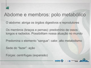 Abdome e membros: polo metabólico
O abdome: abriga os órgãos digestivos e reprodutores
Os membros (braços e pernas): predomínio de ossos
longos e radiados. Possibilitam nossa atuação no mundo
Predomina o elemento “sangue”: calor, alto metabolismo
Sede do “fazer”: ação
Forças: centrífugas (expansão)
 
