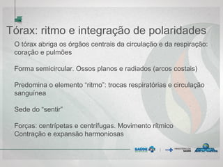 Tórax: ritmo e integração de polaridades
O tórax abriga os órgãos centrais da circulação e da respiração:
coração e pulmões
Forma semicircular. Ossos planos e radiados (arcos costais)
Predomina o elemento “ritmo”: trocas respiratórias e circulação
sanguínea
Sede do “sentir”
Forças: centrípetas e centrífugas. Movimento rítmico
Contração e expansão harmoniosas
 