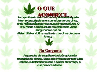 A conjuntiva é uma membrana que reveste a parte interna das pálpebras e a parte branca dos olhos, onde há vasos sanguíneos quase imperceptíveis. O THC relaxa a musculatura em volta deste vasos sanguíneos o que os dilatam, deixando  avermelhados  os olhos de quem fumou;  Na Garganta As paredes da traquéia e dos brônquios são revestidos de cilícios. Estes são irritados por partículas sólidas, substâncias tóxicas e o calor da fumaça, o que provoca a tosse. Nos Olhos O QUE ACONTECE... 