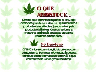 Levado pela corrente sanguínea, o THC age direto nas  glândulas salivares , que reduzem a produção de acetilcolina (responsável pela produção da saliva). Quando se fuma a maconha, ela inibe a produção de saliva, deixando a boca seca. O THC inibe a comunicação do cérebro com o hipotálamo. Sem esta informação, a pessoa continua sendo estimulada a comer. É o que chamamos de Larica (fome sem fim).   No Duodeno Na Boca O QUE ACONTECE... 
