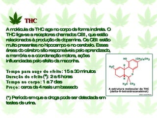 A molécula de THC age no corpo de forma indireta. O THC liga-se a receptores chamados CB1, que estão relacionados à produção de dopamina. Os CB1 estão muito presentes no hipocampo e no cerebelo. Essas áreas do cérebro são responsáveis pelo aprendizado, a memória e a coordenação motora, ações influenciadas pelo efeito da maconha. Tempo para auge do efeito:  15 a 30 minutos Duração do efeito(*):  2 a 6 horas Tempo no corpo:  1 a 7 dias Preço:  cerca de 4 reais um baseado (*) Período em que a droga pode ser detectada em testes de urina.  THC 