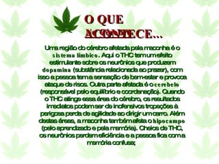 Uma região do cérebro afetada pela maconha é o  sistema límbico . Aqui o THC tem um efeito estimulante sobre os neurônios que produzem  dopamina  (substância relacionada ao prazer), com isso a pessoa tem a sensação de bem-estar e provoca ataque de risos. Outra parte afetada é o  cerebelo  (responsável pelo equilíbrio e coordenação). Quando o THC atinge essa área do cérebro, os resultados imediatos podem ser de inofensivos tropeções à perigosa perda de agilidade ao dirigir um carro. Além destas áreas, a maconha também afeta o  hipocampo  (pelo aprendizado e pela memória). Cheios de THC, os neurônios perdem eficiência e a pessoa fica com a memória confusa;  No Cérebro O QUE ACONTECE... 