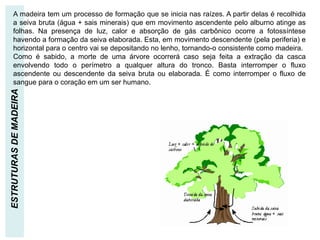 FISIOLOGIA DA ÁRVORE
ESTRUTURAS
DE
MADEIRA
A madeira tem um processo de formação que se inicia nas raízes. A partir delas é recolhida
a seiva bruta (água + sais minerais) que em movimento ascendente pelo alburno atinge as
folhas. Na presença de luz, calor e absorção de gás carbônico ocorre a fotossíntese
havendo a formação da seiva elaborada. Esta, em movimento descendente (pela periferia) e
horizontal para o centro vai se depositando no lenho, tornando-o consistente como madeira.
Como é sabido, a morte de uma árvore ocorrerá caso seja feita a extração da casca
envolvendo todo o perímetro a qualquer altura do tronco. Basta interromper o fluxo
ascendente ou descendente da seiva bruta ou elaborada. É como interromper o fluxo de
sangue para o coração em um ser humano.
 