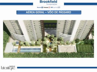 AÉREA GERAL – VÔO DE PÁSSARO