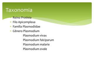  Reino Protista
 Filo Apicomplexa
 Família Plasmodiidae
 Gênero Plasmodium
Plasmodium vivax
Plasmodium falciparum
Plasmodium malarie
Plasmodium ovale
Taxonomia
 
