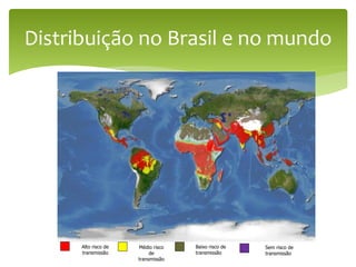 Distribuição no Brasil e no mundo
Alto risco de
transmissão
Médio risco
de
transmissão
Baixo risco de
transmissão
Sem risco de
transmissão
 
