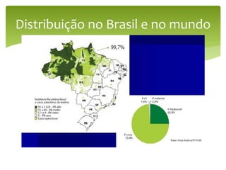 Distribuição no Brasil e no mundo
 