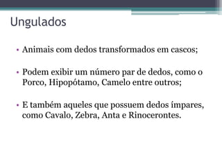 Ungulados
• Animais com dedos transformados em cascos;
• Podem exibir um número par de dedos, como o
Porco, Hipopótamo, Camelo entre outros;
• E também aqueles que possuem dedos ímpares,
como Cavalo, Zebra, Anta e Rinocerontes.
 