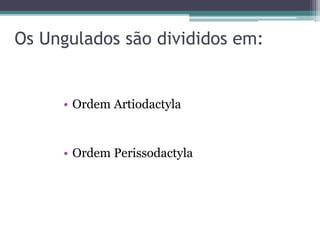 Os Ungulados são divididos em:
• Ordem Artiodactyla
• Ordem Perissodactyla
 