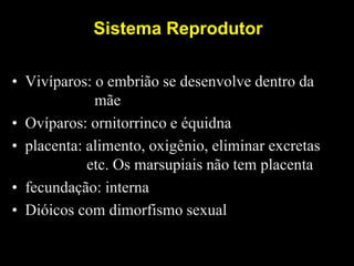 Sistema Reprodutor
• Vivíparos: o embrião se desenvolve dentro da
mãe
• Ovíparos: ornitorrinco e équidna
• placenta: alimento, oxigênio, eliminar excretas
etc. Os marsupiais não tem placenta
• fecundação: interna
• Dióicos com dimorfismo sexual
 