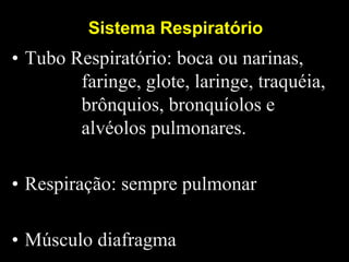 Sistema Respiratório
• Tubo Respiratório: boca ou narinas,
faringe, glote, laringe, traquéia,
brônquios, bronquíolos e
alvéolos pulmonares.
• Respiração: sempre pulmonar
• Músculo diafragma
 