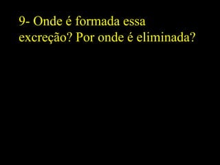 9- Onde é formada essa
excreção? Por onde é eliminada?
 