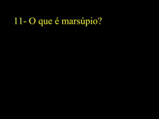 11- O que é marsúpio?
 