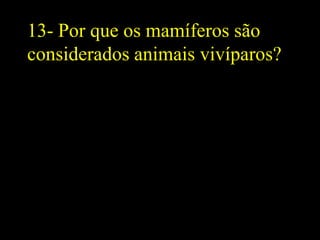 13- Por que os mamíferos são
considerados animais vivíparos?
 