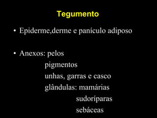 Tegumento

• Epiderme,derme e panículo adiposo

• Anexos: pelos
         pigmentos
         unhas, garras e casco
         glândulas: mamárias
                   sudoríparas
                   sebáceas
 