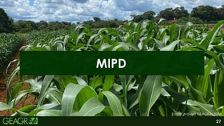 27
MIPD
Fonte: Arquivo GEAGRA, 2023.
 