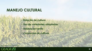 31
MANEJO CULTURAL
• Rotação de cultura;
• Uso de variedades adaptadas;
• Adubação verde;
• Consórcios de cultivos.
Fonte: Revista Cultivar, 2020.
 