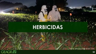 34
HERBICIDAS
Fonte: Maria Eduarda Silvério, 2025.
 