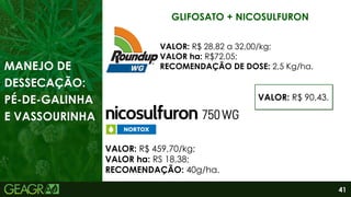 41
GLIFOSATO + NICOSULFURON
VALOR: R$ 28,82 a 32,00/kg;
VALOR ha: R$72,05;
RECOMENDAÇÃO DE DOSE: 2,5 Kg/ha.
MANEJO DE
DESSECAÇÃO:
PÉ-DE-GALINHA
E VASSOURINHA
VALOR: R$ 459,70/kg;
VALOR ha: RS 18,38;
RECOMENDAÇÃO: 40g/ha.
VALOR: R$ 90,43.
 