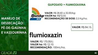 42
GLIFOSATO + FLUMIOZAXINA
VALOR: R$ 28,82 a 32,00/kg;
VALOR ha: R$72,05;
RECOMENDAÇÃO DE DOSE: 2,5 Kg/ha.
MANEJO DE
DESSECAÇÃO:
PÉ-DE-GALINHA
E VASSOURINHA
VALOR: R$ 170,00/L;
VALOR ha: R$ 12,10;
RECOMENDAÇÃO: 100mL/ha.
VALOR: R$ 84,15.
 