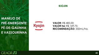 43
KIOJIN
VALOR: R$ 485,00;
VALOR ha: R$ 169,75;
RECOMENDAÇÃO: 350mL/ha.
MANEJO DE
PRÉ-EMERGENTE:
PÉ-DE-GALINHA
E VASSOURINHA
 