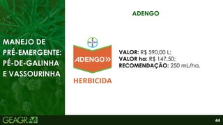44
ADENGO
VALOR: R$ 590,00 L;
VALOR ha: R$ 147,50;
RECOMENDAÇÃO: 250 mL/ha.
MANEJO DE
PRÉ-EMERGENTE:
PÉ-DE-GALINHA
E VASSOURINHA
 