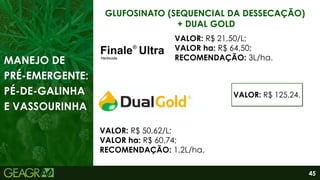 45
GLUFOSINATO (SEQUENCIAL DA DESSECAÇÃO)
+ DUAL GOLD
VALOR: R$ 50,62/L;
VALOR ha: R$ 60,74;
RECOMENDAÇÃO: 1,2L/ha.
VALOR: R$ 21,50/L;
VALOR ha: R$ 64,50;
RECOMENDAÇÃO: 3L/ha.
MANEJO DE
PRÉ-EMERGENTE:
PÉ-DE-GALINHA
E VASSOURINHA
VALOR: R$ 125,24.
 