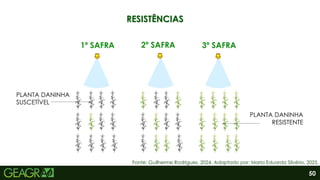 50
RESISTÊNCIAS
PLANTA DANINHA
RESISTENTE
1º SAFRA 2º SAFRA 3º SAFRA
PLANTA DANINHA
SUSCETÍVEL
Fonte: Guilherme Rodrigues, 2024. Adaptado por: Maria Eduarda Silvério, 2025.
 
