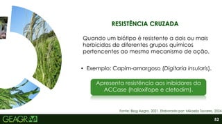 52
Fonte: Blog Aegro, 2021. Elaborado por: Mikaela Tavares, 2024.
RESISTÊNCIA CRUZADA
Quando um biótipo é resistente a dois ou mais
herbicidas de diferentes grupos químicos
pertencentes ao mesmo mecanismo de ação.
• Exemplo: Capim-amargoso (Digitaria insularis).
Apresenta resistência aos inibidores da
ACCase (haloxifope e cletodim).
 