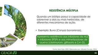 53
Fonte: Mais Soja, 2022. Elaborado por: Mikaela Tavares, 2024.
RESISTÊNCIA MÚLTIPLA
• Exemplo: Buva (Conyza bonariensis).
Apresenta resistência aos inibidores da ALS
+ inibidores EPSPs e aos mimetizadores de
auxina (clorimurom, glifosato e 2,4 -D).
Quando um biótipo possui a capacidade de
sobreviver a dois ou mais herbicidas, de
diferentes mecanismos de ação.
 