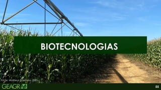 55
BIOTECNOLOGIAS
Fonte: Matheus Caetano, 2025.
 
