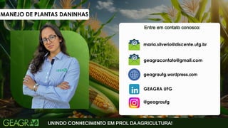 Entre em contato conosco:
UNINDO CONHECIMENTO EM PROL DA AGRICULTURA!
geagraufg.wordpress.com
geagracontato@gmail.com
GEAGRA UFG
@geagraufg
maria.silverio@discente.ufg.br
MANEJO DE PLANTAS DANINHAS
 