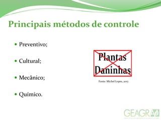 Principais métodos de controle
 Preventivo;
 Cultural;
 Mecânico;
 Químico.
Fonte: Michel Lopes, 2017.
 
