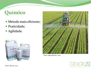 Químico
 Método mais eficiente;
 Praticidade;
 Agilidade.
Fonte: Nortox, 2017.
Fonte: Agriculturers, 2015.
 