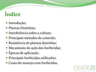 Índice
 Introdução;
 Plantas Daninhas;
 Interferência sobre a cultura;
 Principais métodos de controle;
 Resistência de plantas daninhas;
 Mecanismo de ação dos herbicidas;
 Épocas de aplicação;
 Principais herbicidas utilizados;
 Custo do manejo com herbicidas.
 
