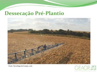 Dessecação Pré-Plantio
Fonte: Tecnologia do Campo, 2016.
 