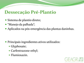 Dessecação Pré-Plantio
 Sistema de plantio direto;
 “Manejo da palhada”;
 Aplicados na pós-emergência das plantas daninhas.
 Principais ingredientes ativos utilizados:
 Glyphosate;
 Carfentrazone-ethyl;
 Flumioxazin.
 