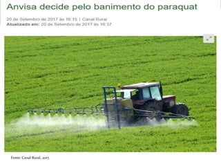 Fonte: Canal Rural, 2017.
 