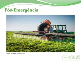 Pós-Emergência
Fonte: Successful Farming, 2017.
 