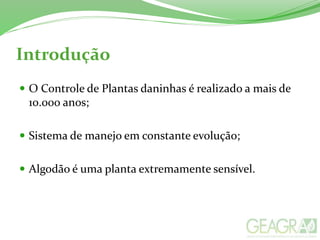 Introdução
 O Controle de Plantas daninhas é realizado a mais de
10.000 anos;
 Sistema de manejo em constante evolução;
 Algodão é uma planta extremamente sensível.
 